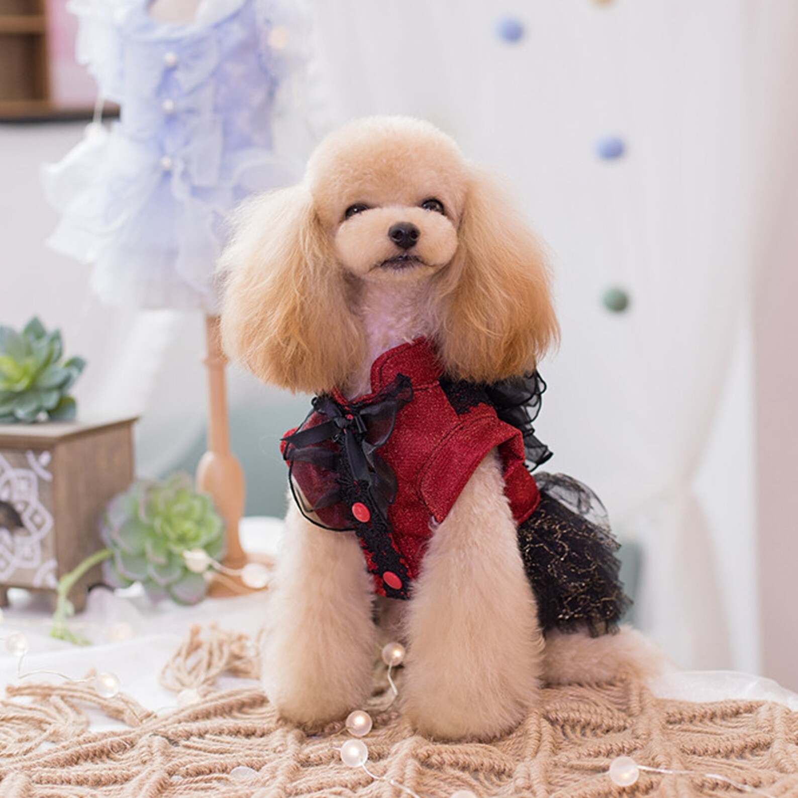 Dog Wedding Dress Bridesmaid Costume Birthday Holiday Fancy Etsy