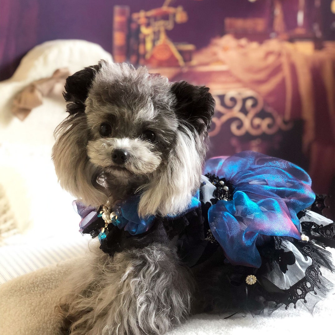 Navy Blue Dog Prom Dress, Cat Dog Wedding Dress, Dog Birthday