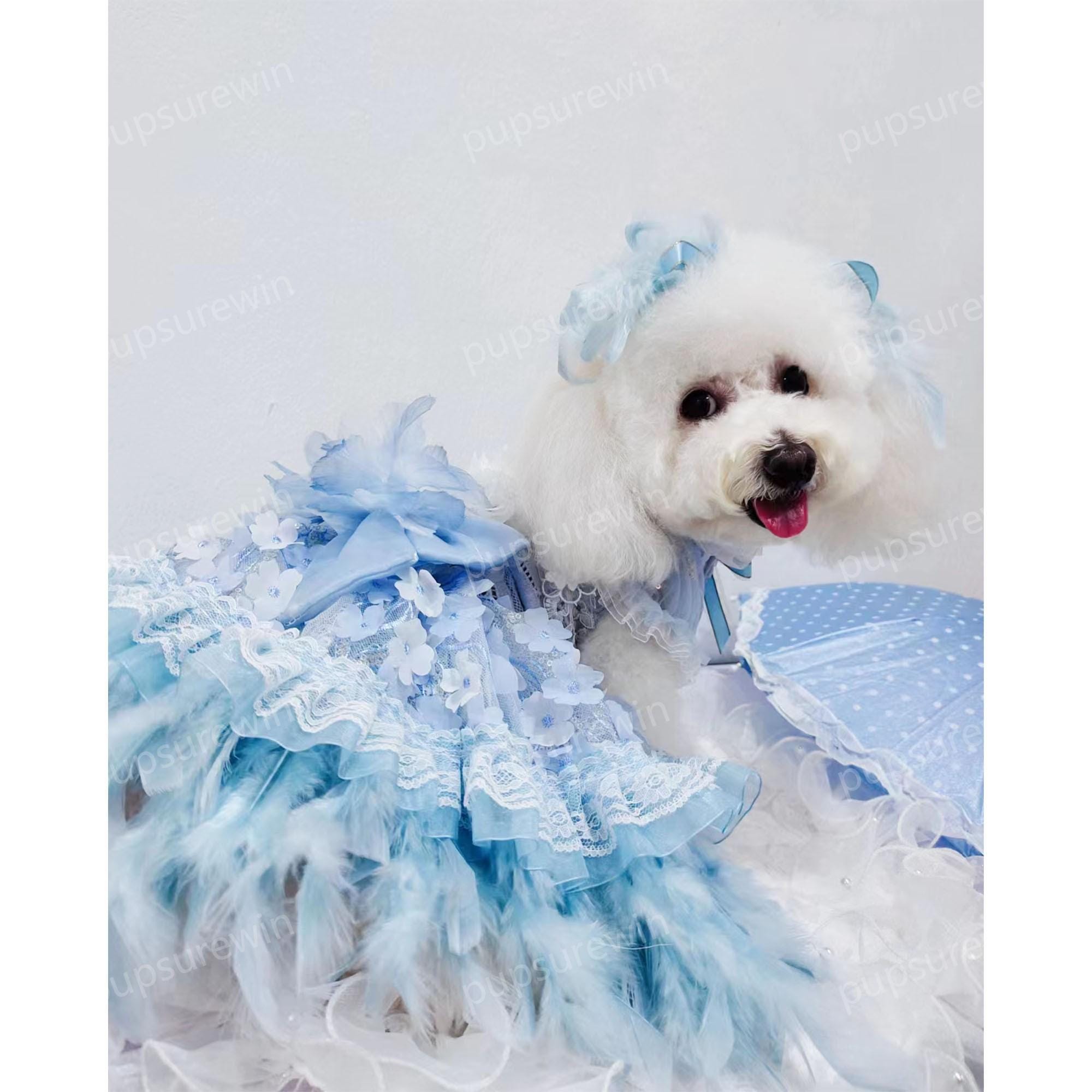 blue dress for baby girl Blue Polka Dot Dog Dress with Matching Leash X-Small
