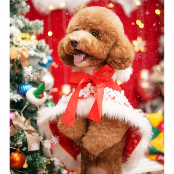 Christmas Dog Cape New Years Dog Costume, Xmas Santa Red Velvet Cape for  Large Dogs and Cats, Chinese New Year Outfit Winter Pets Clothes - Etsy