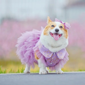 Dog Ball Gown Etsy