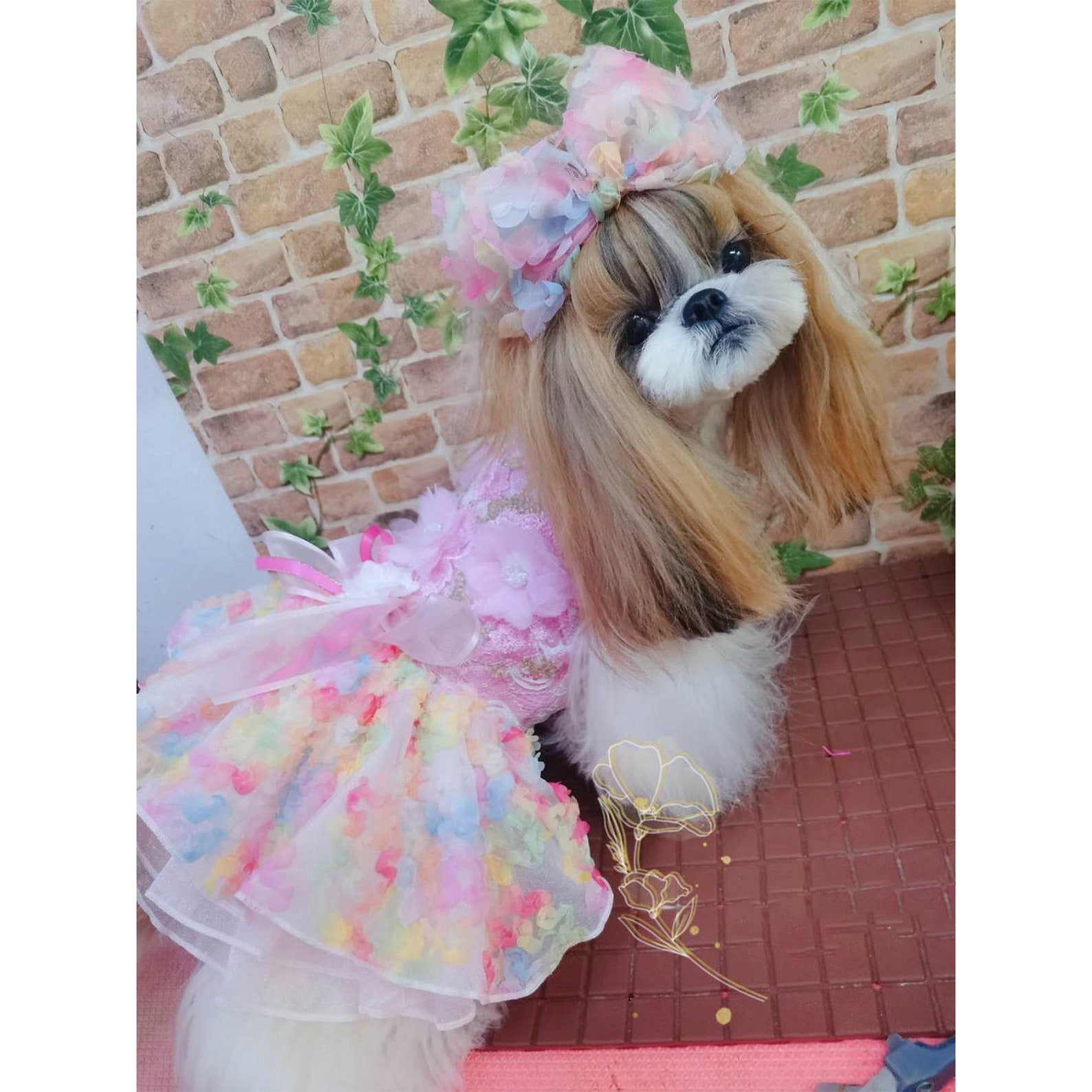 Dog Wedding Dress Bridesmaid Costume Birthday Holiday Fancy Etsy