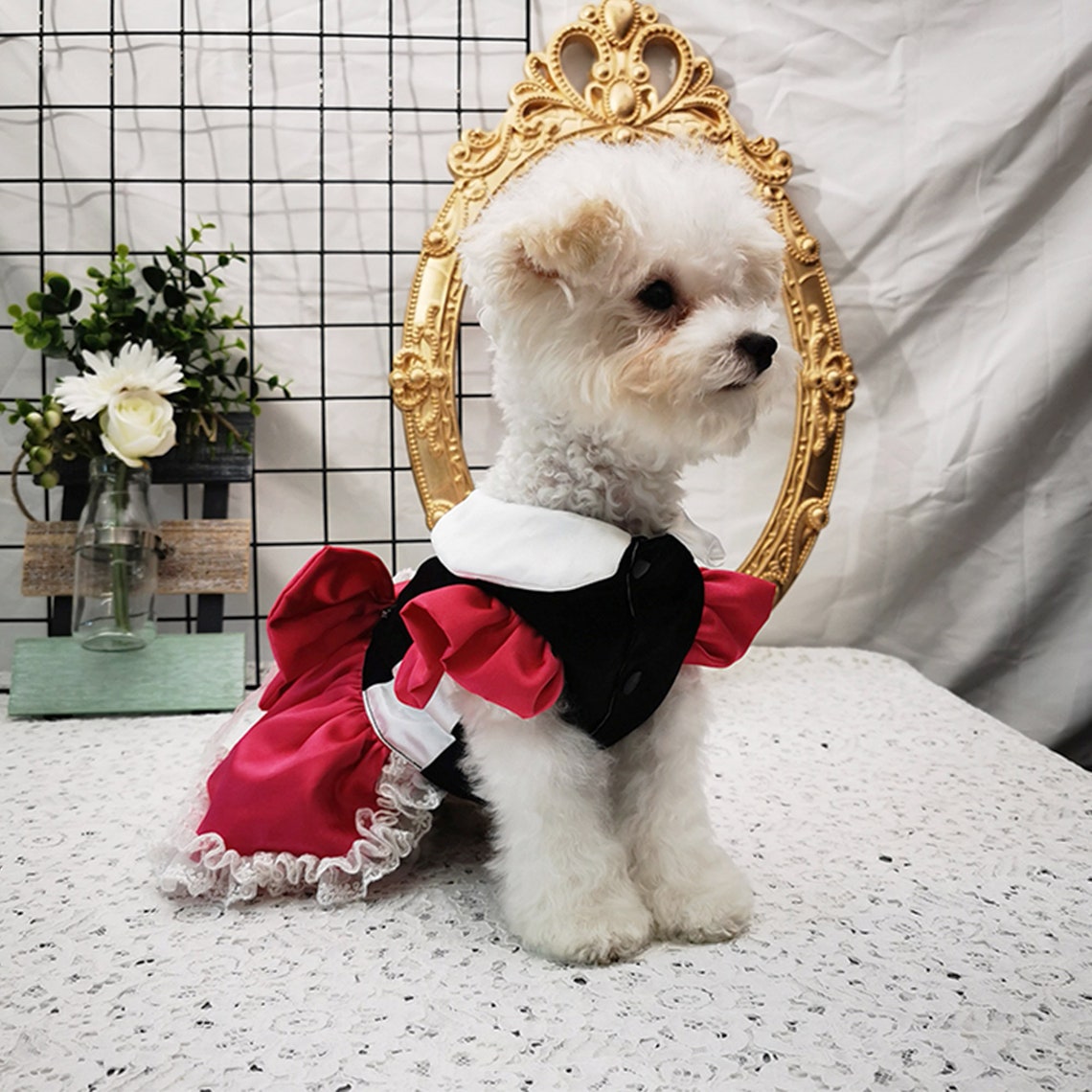 Dog Fancy Dress Cat Maid Costume Halloween Pet Lolita Princess - Etsy