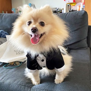 Dog Formal Suit Dog Tuxedo With Bow Tie Dog Wedding Attire dog Birthday Outfit dog Prince Costume Halloween dog Swallow tailed Coat Custom Etsy Canada
