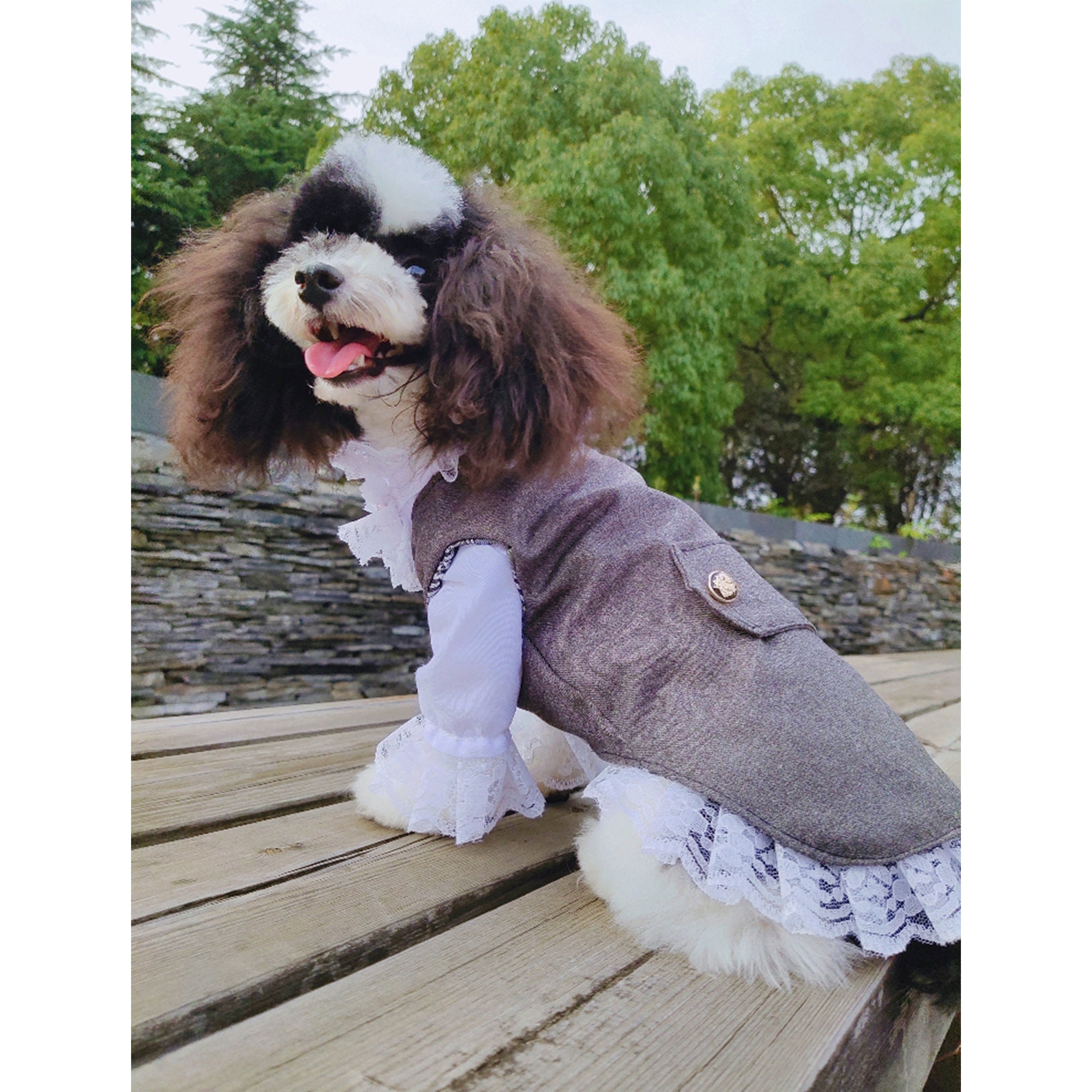 Boy Dog Wedding Suit Pet Bridegroom Costume Puppy Doggy Cat Etsy