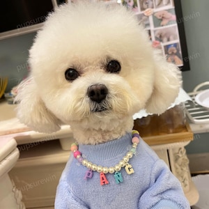 Personalized Dog Necklace, Cat Dog Custom Name Pearl Necklace, Custom Pet Collar Necklace Jewelry Puppy Kitten Cat Collar with Name Pet Gift