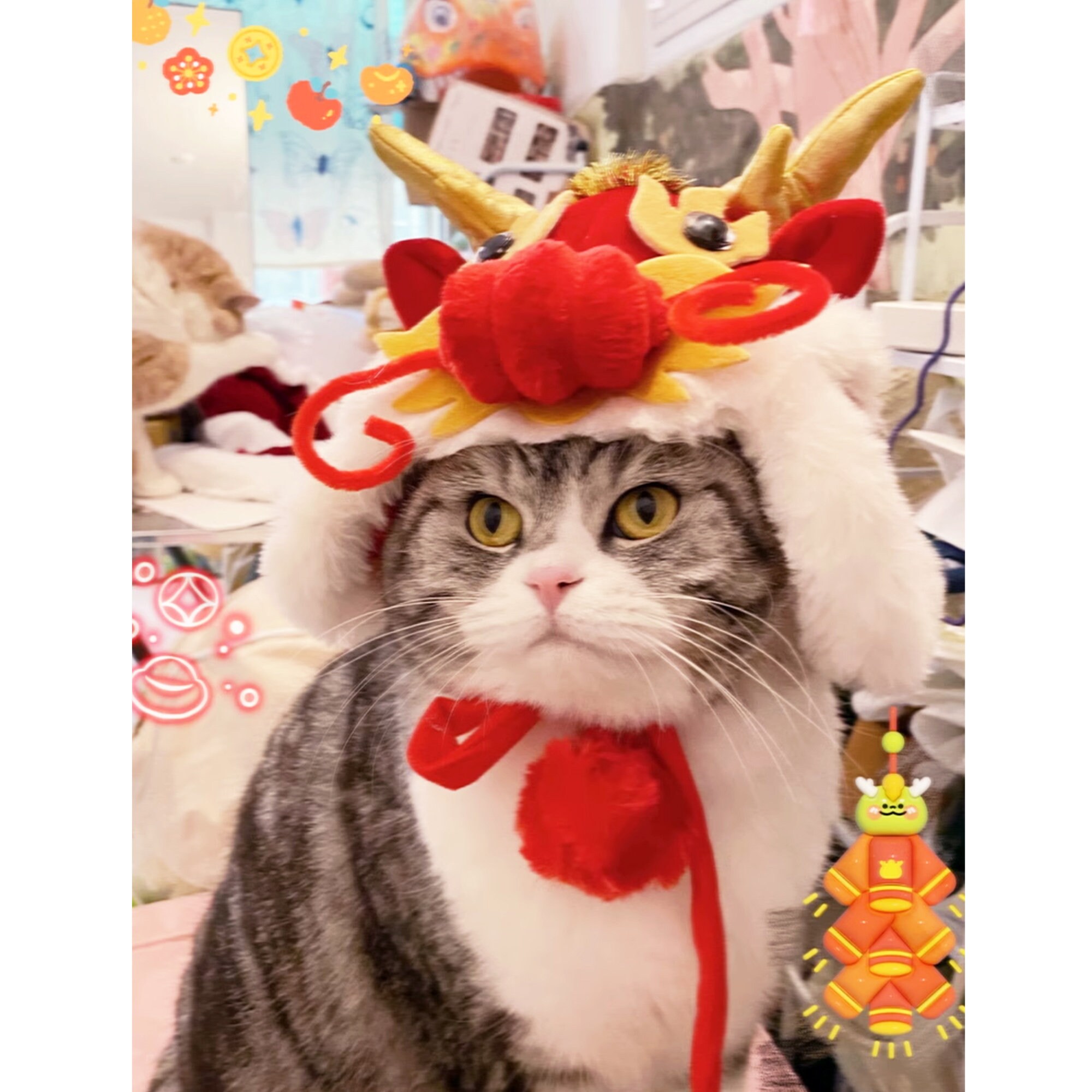Chinese lucky cat costume sale