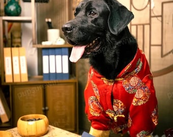 New Years Dog Outfit, Custom Red Tang Suit for Large Dogs Chinese Spring Festival