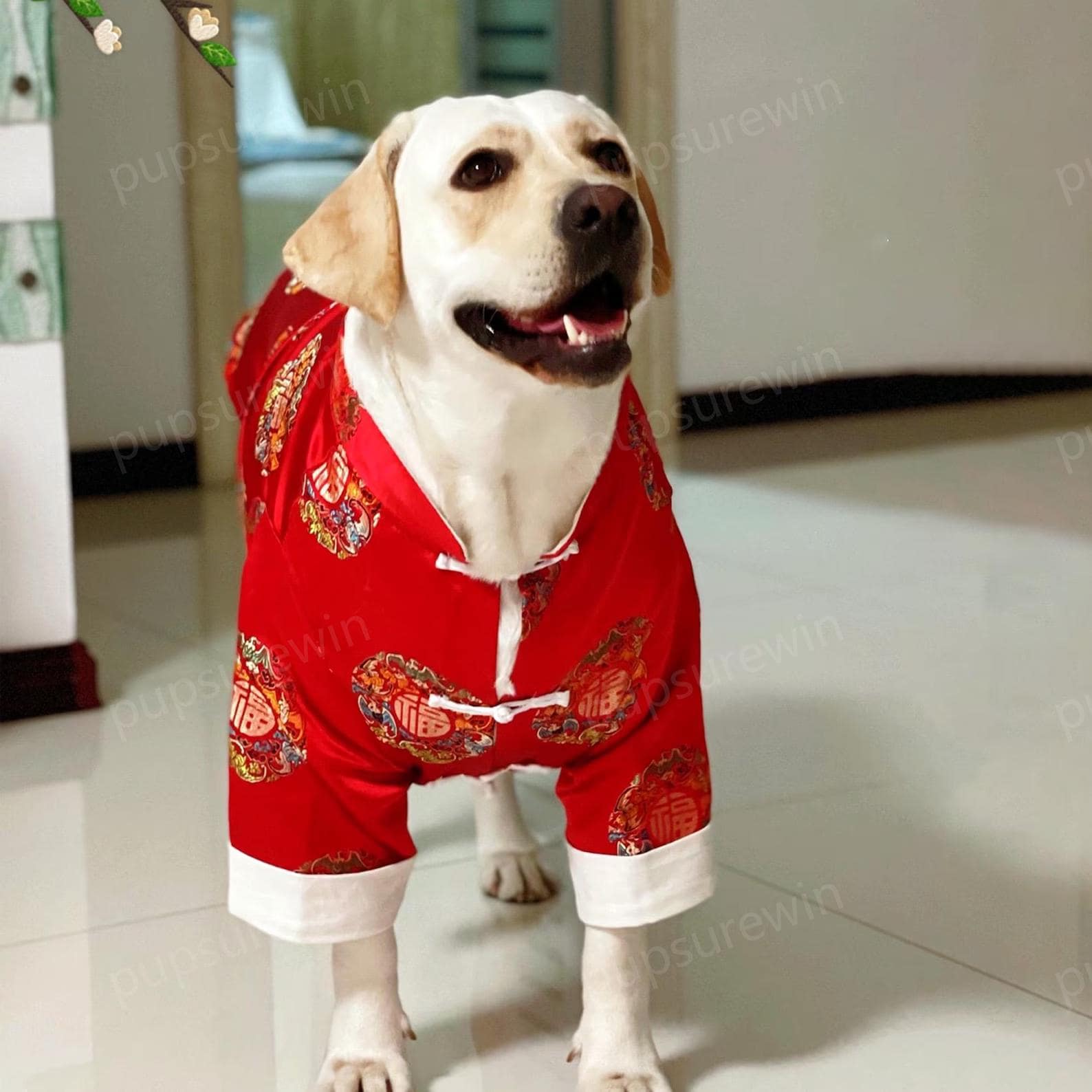 Large Dog New Year Outfit Chinese Spring Festival Costume Large Dog New Year Outfit Chinese Spring Festival Costume