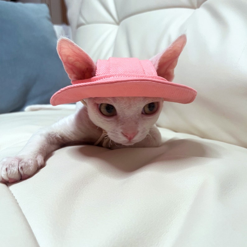 Cappello a secchiello per gatti Sphynx con fori per le orecchie, cappello estivo per gatto, topee per gatti senza peli Devon Rex, cappello con visiera Sunbonnet per gatti, berretto di protezione solare cappello per animali domestici Pink