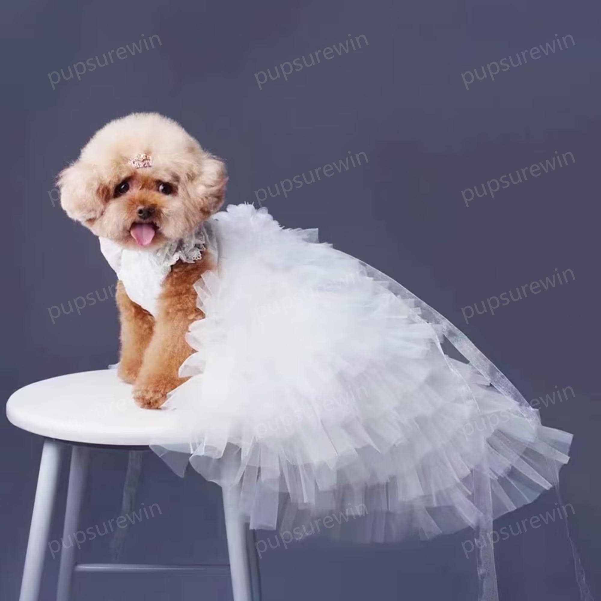 カスタムサイズの犬用ウェディングドレス ロングトレーンガウン、花嫁