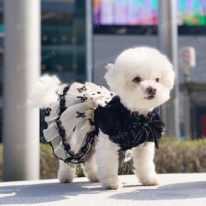Dog Wedding Dress Custom Size, Black Beige Flower Butterfly Tulle Fancy Dress for Large Dogs and Cats, Birthday Princess Costume Pet Clothes