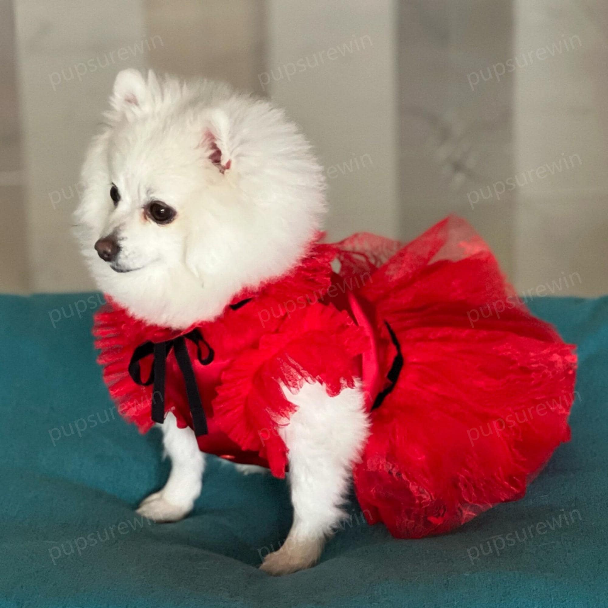 open lace back dress Red Ethnic Dog Frock Dress main image 1