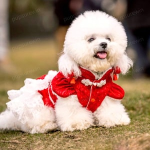 Custom New Year Dog Outfit, Chinese New Year Dog Clothes Spring Festival Costume, Chinese Red Cheongsam Dress for Large Dogs and Cats Pets