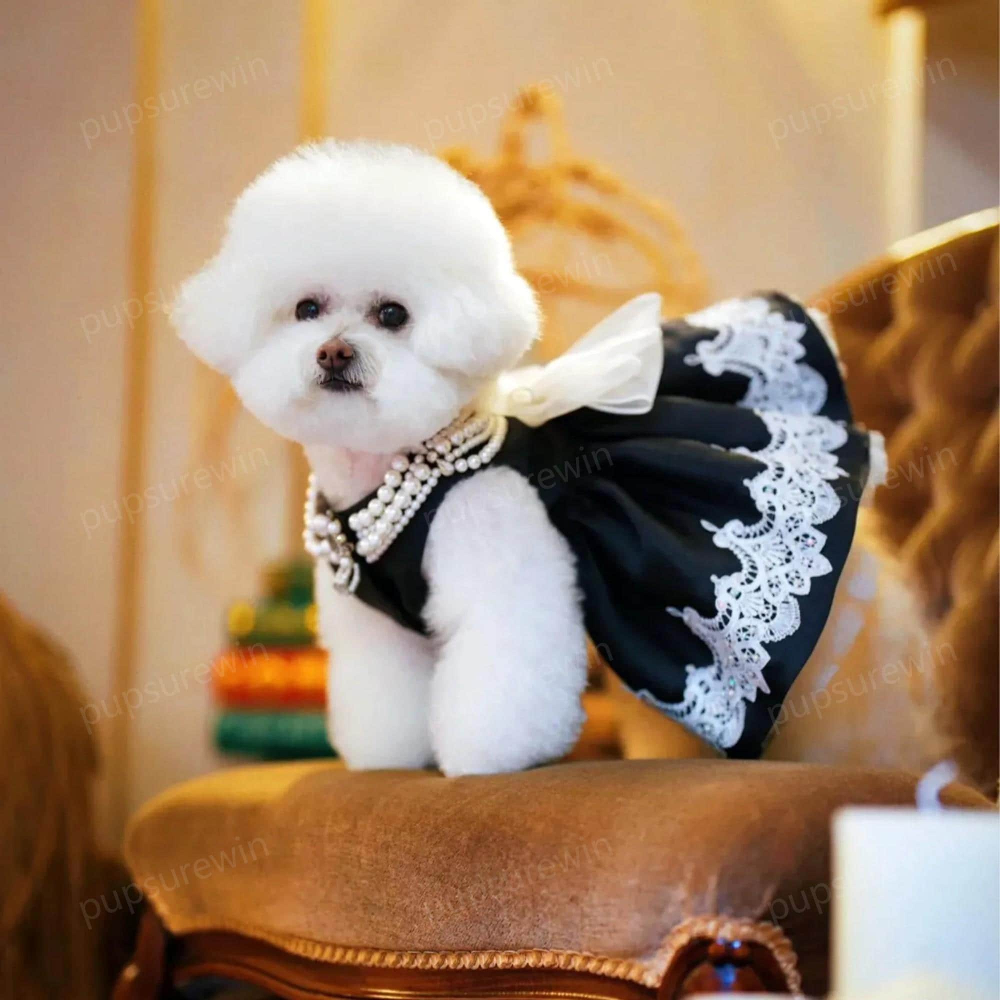 black dress dog Doggy Parton, Clothes, Shimmering Evening Pet Dress, Black, Medium friendly design with hook Plain Pet Dress - Bright