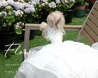 May include: A small dog wearing a white dress with a layered skirt and floral accents, sitting on a wooden chair. The dog is positioned in front of a backdrop of white and purple flowers and green foliage. The word "Flower" is written in cursive.
