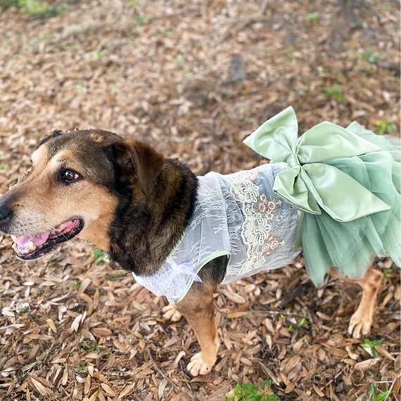 Robe vert sauge pour chien Deguisements brodes de fleurs Robe d ete en dentelle respirante en tulle Deguisement d anniversaire de mariage de chien Vetements pour animaux de compagnie Taille personnali...