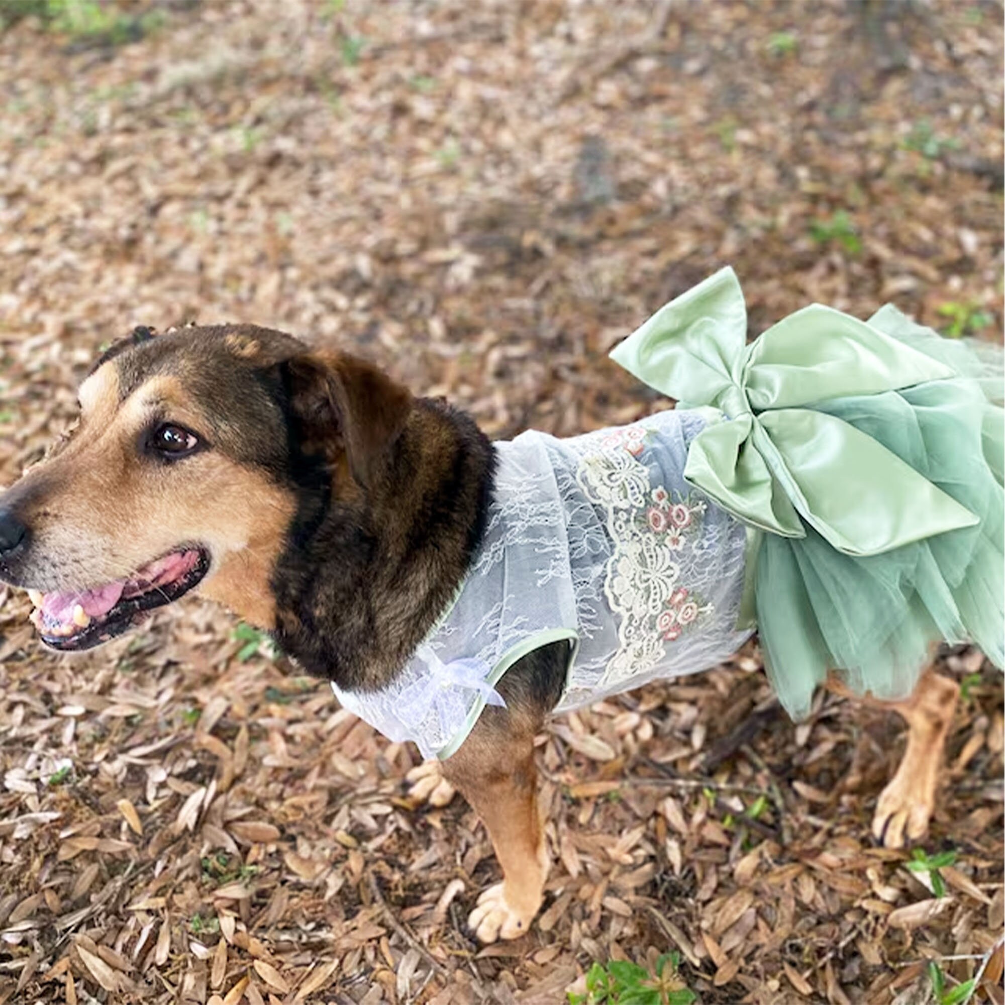 Green dog dress hotsell