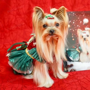 Hund Weihnachtsbaum Kostüm Xmas Party Santa Kleid, ausgefallenes rot grünes Tutu-Kleid für Hunde und Katzen, benutzerdefinierte Haustierkleidung Weihnachtskostüm Weihnachtsgeschenk