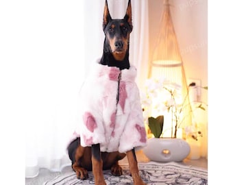 Könnte beinhalten: Ein schwarz-brauner Dobermann-Hund trägt einen rosa-weißen, flauschigen Hundemantel. Der Hund sitzt auf einem weißen Teppich mit Blumenmuster.