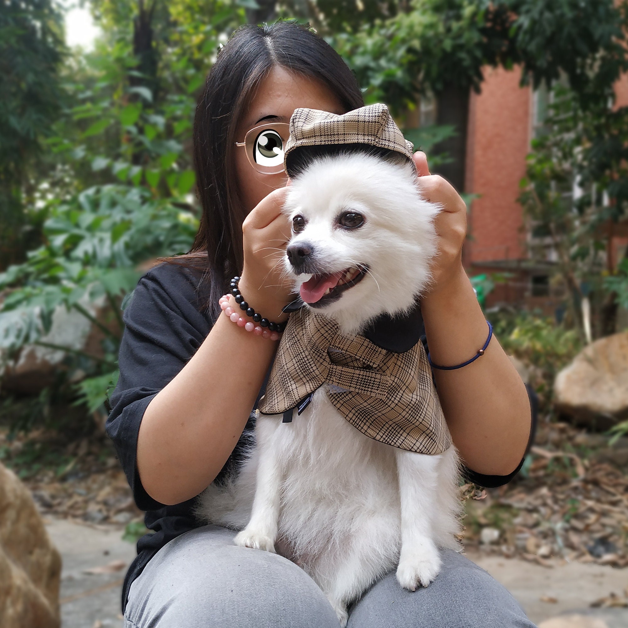 Dog Detective Costume Halloween Sherlock Holmes Outfit Dog Cat Etsy