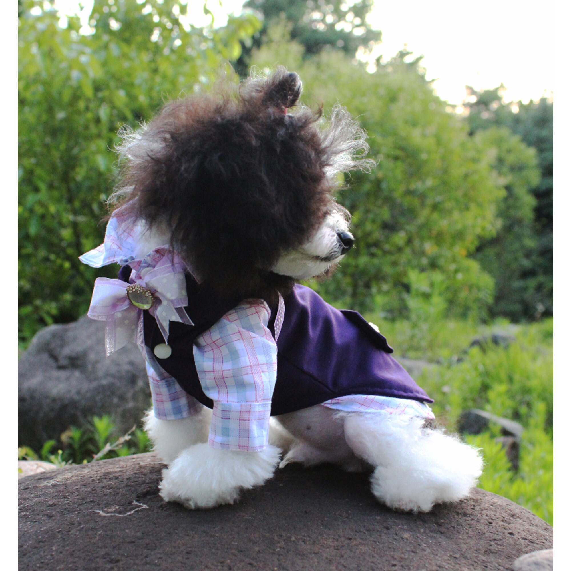 Boy Dog Wedding Suit Pet Bridegroom Costume Puppy Doggy Cat Etsy