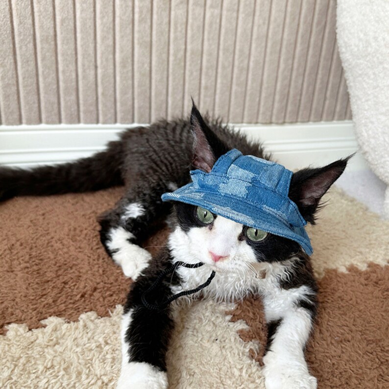 Devon Rex Cat Bucket Hat with Ear Holes, Summer Hairless Cat Topee, Cat Sunbonnet Cap Visor Hat,Sun Protection Cap Travel Hiking Hat for Pet image 1