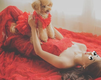 READY TO SHIP - Red Pet Dress, Wedding Flower Girl, Birthday Party