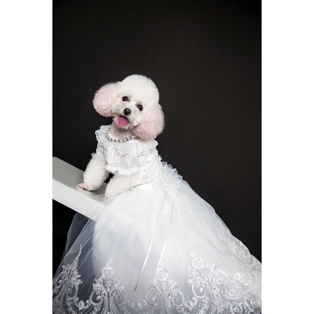Dog Wedding Long Trailing Dress Bride Bridesmaid White Gown for Dog Dog Birthday Quinceanera Outfit Princess Costume Pet Clothes Custom Etsy