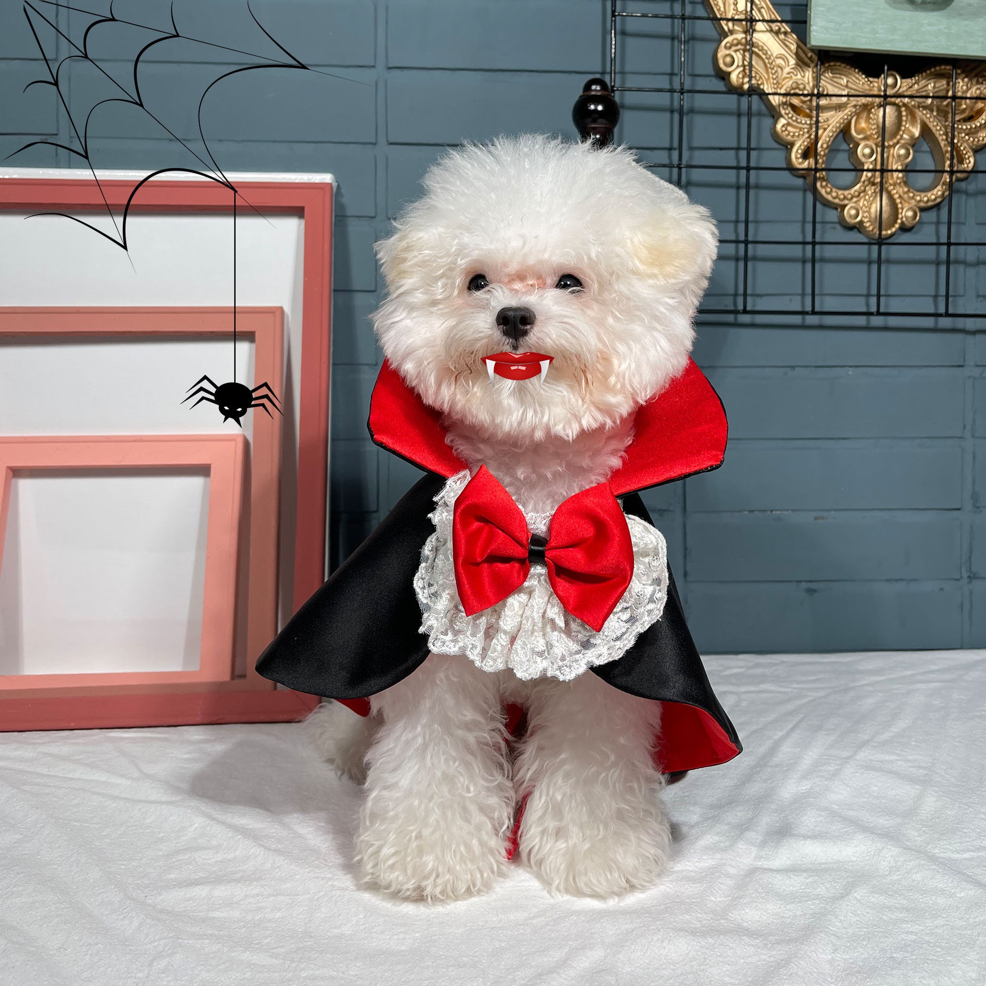 Cat Dog Vampire Costume Halloween Count Dracula Robe Pet Etsy