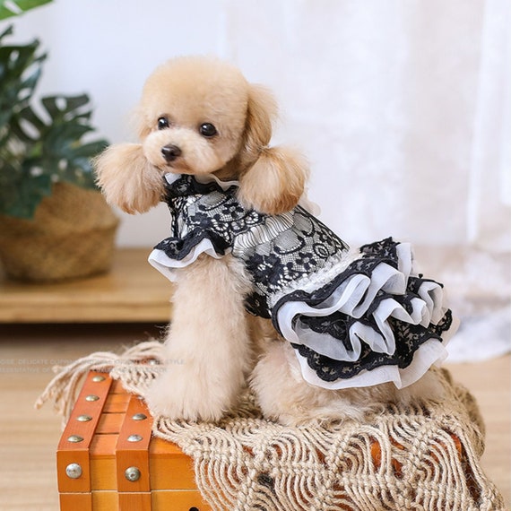 Dog Harness Dress 3D Flower Dog Dress Tutu Dog Dress White 