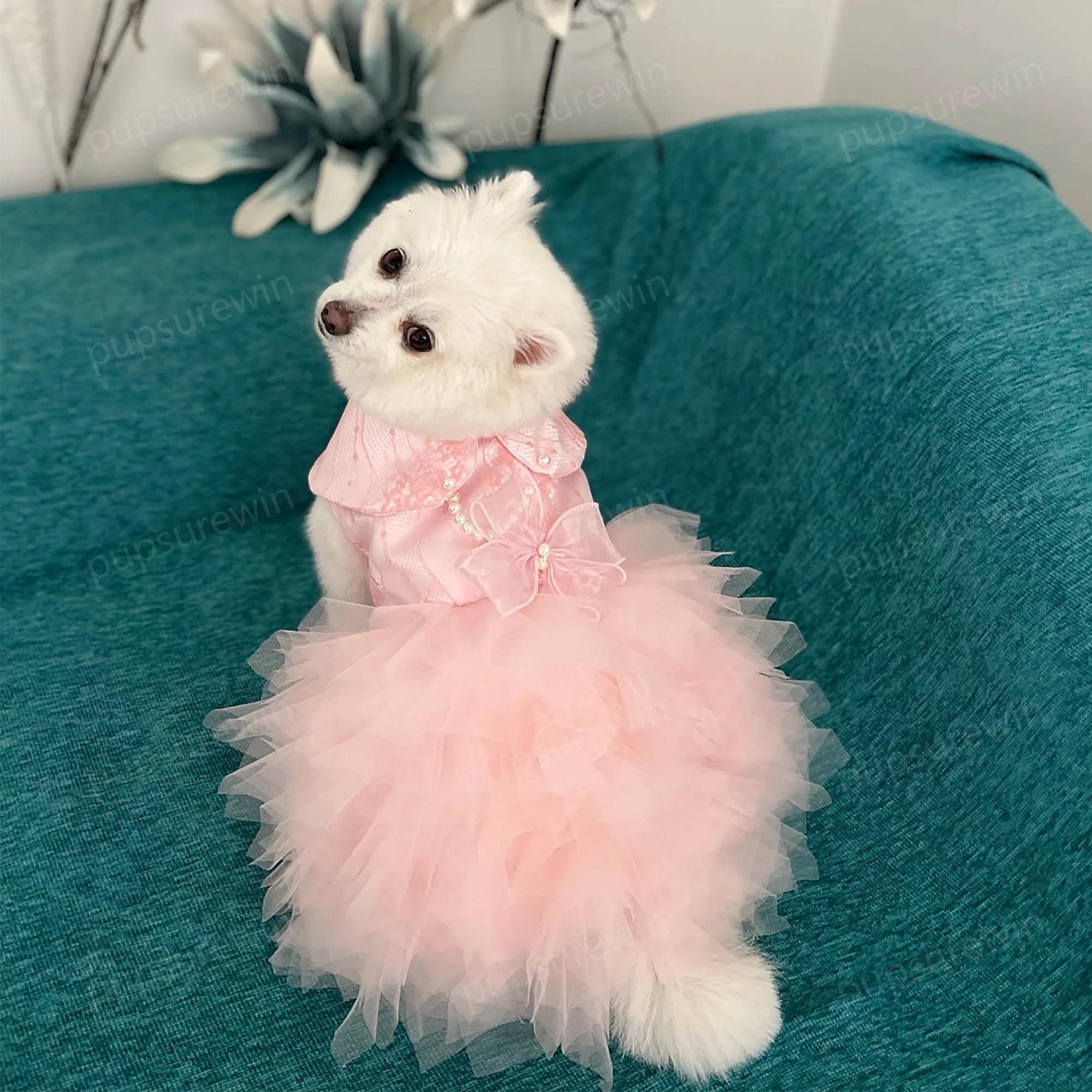 birthday dress for large dog Dog Striped Dress,Pet Girl Bow Costume With Ring And Harness Leash,Dog –  Petocart main image 1