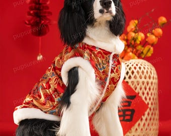 Chinese Lunar New Year Outfit for Large Dogs, Gold Dragon Embroidered Coat in Red