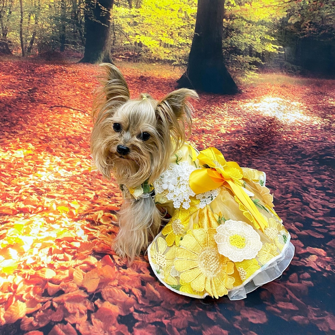 Dog Flower Dress, Yellow Multi Floral Fancy Dress for Dog, Dog Wedding Dress, Dog Birthday
