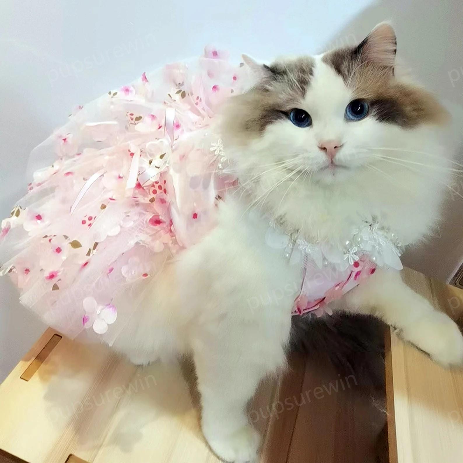 cats pink bamboo dress Love Kittens Bamboo Girls' Long Sleeve Dress