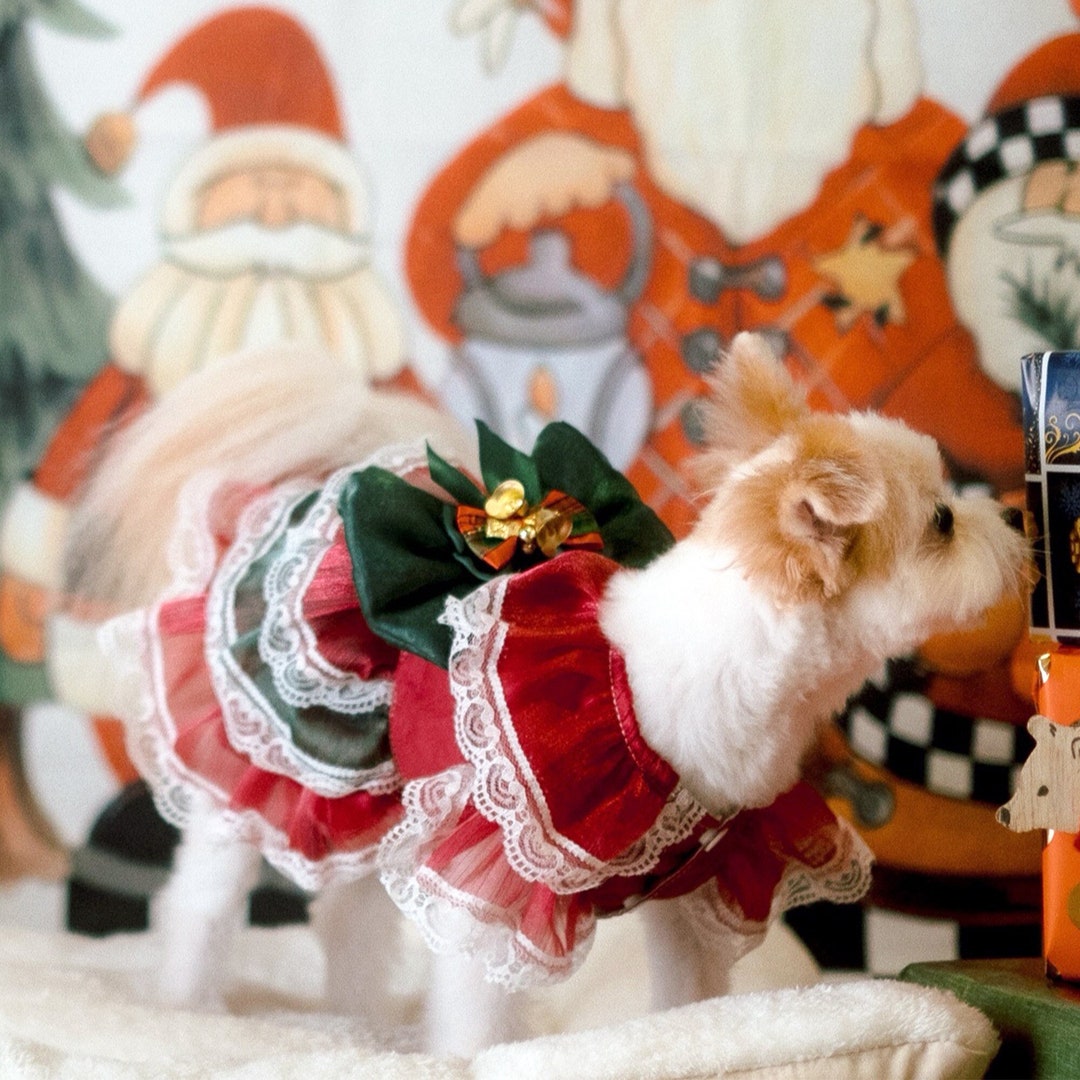 Dog Christmas Costume Santa Costume for Dogs and Cats Red Etsy