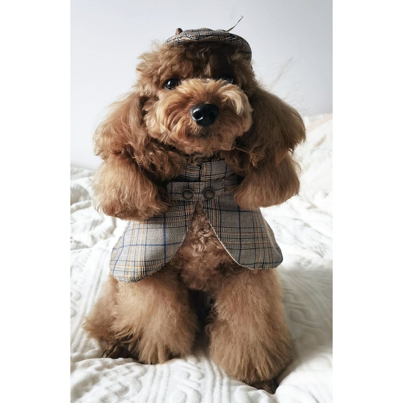 Dog Detective Costume Halloween, Deerstalker Hat with Cape for Large Dogs and Cats, Custom Dog Clothes Sherlock Holmes Inspired Pet Outfit image 3