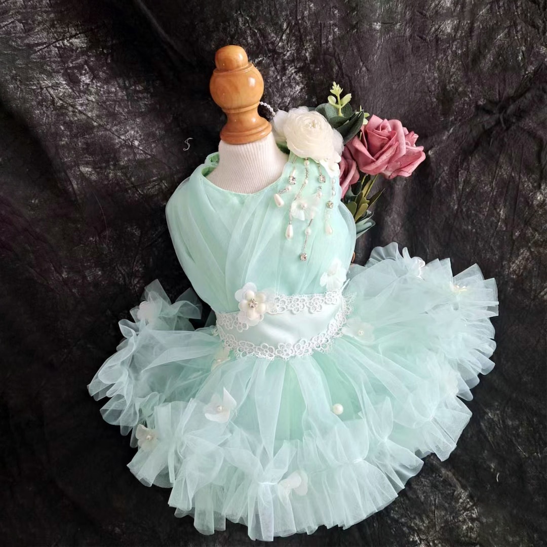 BIG DOG - Party Doggy Dress Green main image 0
