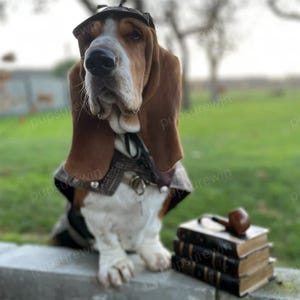 Adesivo Cane Basset Hound 3D – Impermeabile 30x30 Cm Per Auto, Pareti, Vetro – Regalo Amanti Animali - 3
