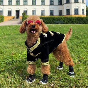 Dog Prince Costume Halloween, Black Velveteen Coat for Dogs and Cats, Wedding Dog Suit Military Uniform, Fall Winter Pet Clothes Custom Size