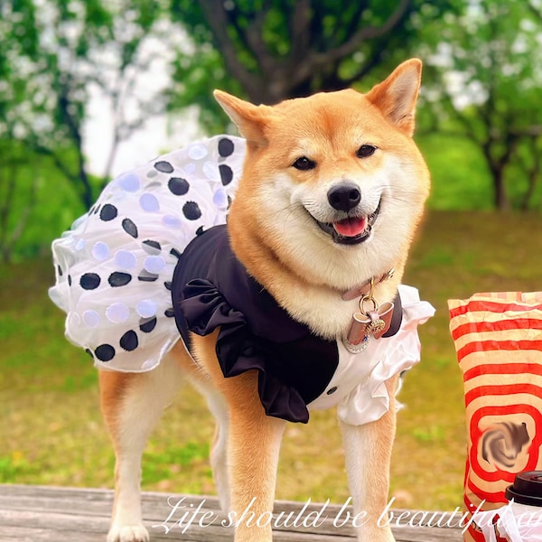 Dog Wedding Dress Custom Size, Black White Dot Tulle Dress for Large Dogs Cats, Puppy Birthday Outfit Princess Costume Summer Pet Clothes