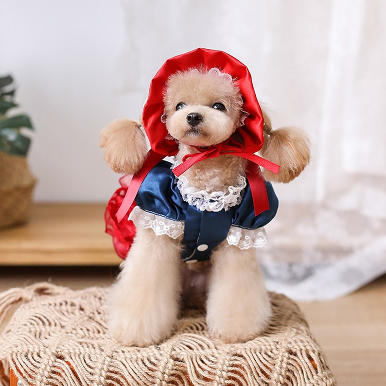 Dog Cat Little Red Riding Hood Costume Halloween Cosplay Pet image 2