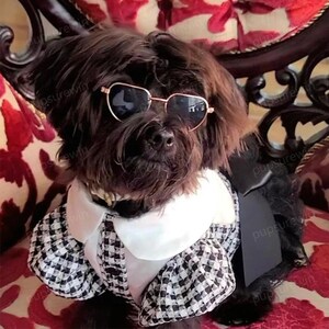 K&ouml;nnte beinhalten: Ein kleiner schwarzer Hund, der ein schwarz-wei&szlig; kariertes Kleid mit wei&szlig;em Kragen und herzf&ouml;rmigen Sonnenbrillen tr&auml;gt.