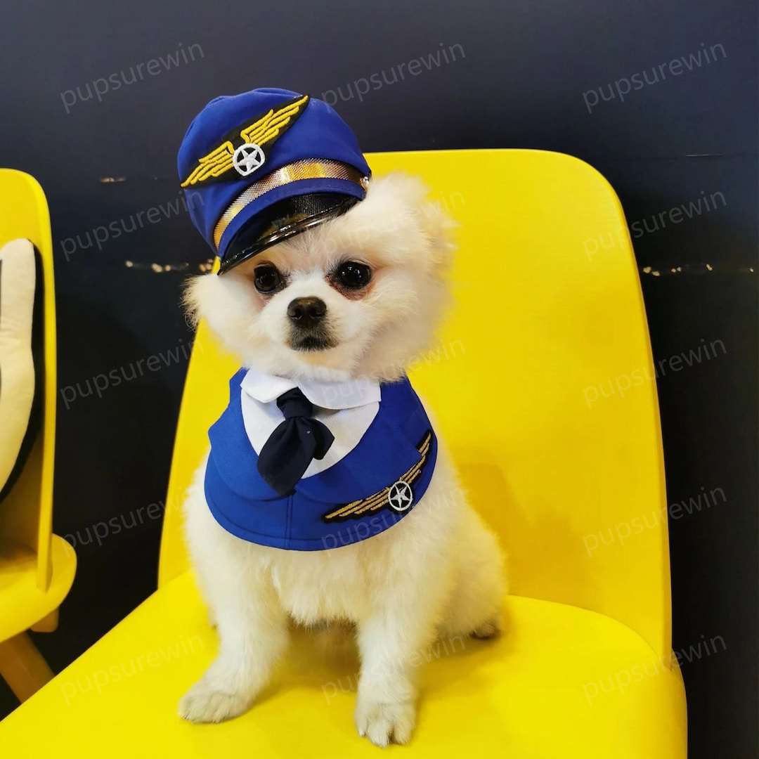 Dog Pilot Costume Halloween, Air Force Dog Bandana, Air Captain Dog Bandana  Bib, Pet Airman Bib Collar,pilot Outfit Bunny Puppy Pets Clothes