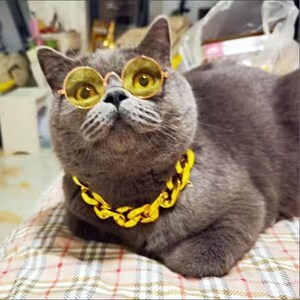 Lunettes de soleil d'été pour chat, accessoires de costume de petit chat, lunettes de soleil élégantes de chat accessoire de photo d'animal de compagnie, lunettes d'animal de compagnie de chien de chat de chaton, cadeau d'amant d'animal familier image 8