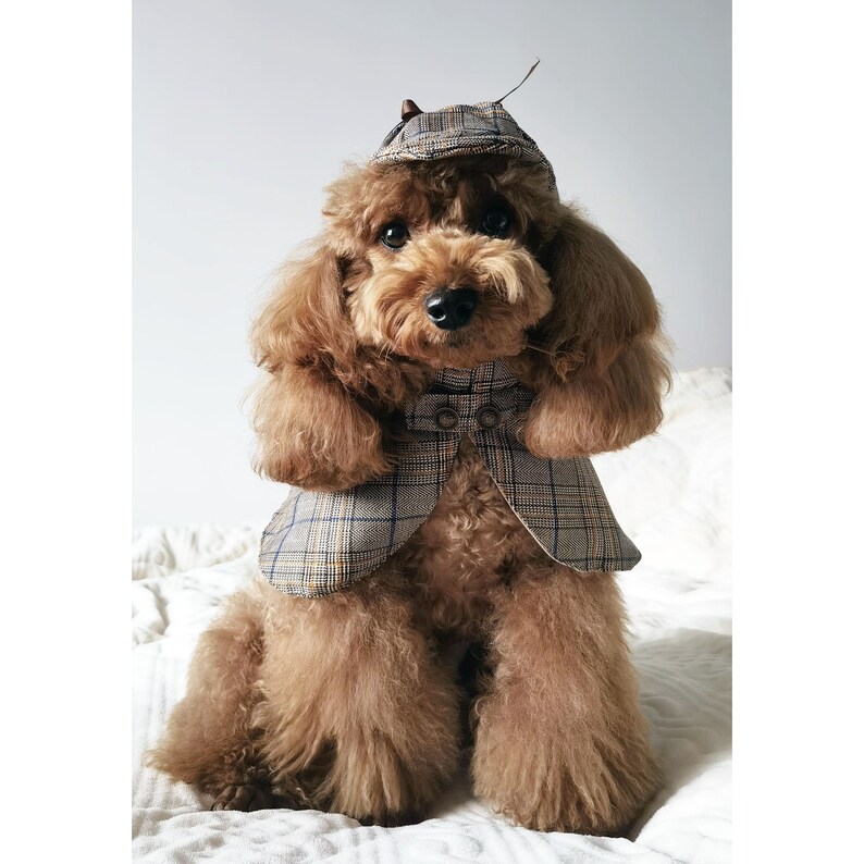 Dog Detective Costume Halloween, Deerstalker Hat with Cape for Large Dogs and Cats, Custom Dog Clothes Sherlock Holmes Inspired Pet Outfit image 2