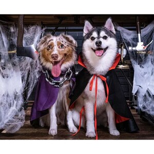 Cat Dog Vampire Costume Halloween, Dog Dracula Count Cloak, Pet Cosplay Outfit Twilight Inspired, Gothic Demon Cape Wizard Uniform Custom image 9