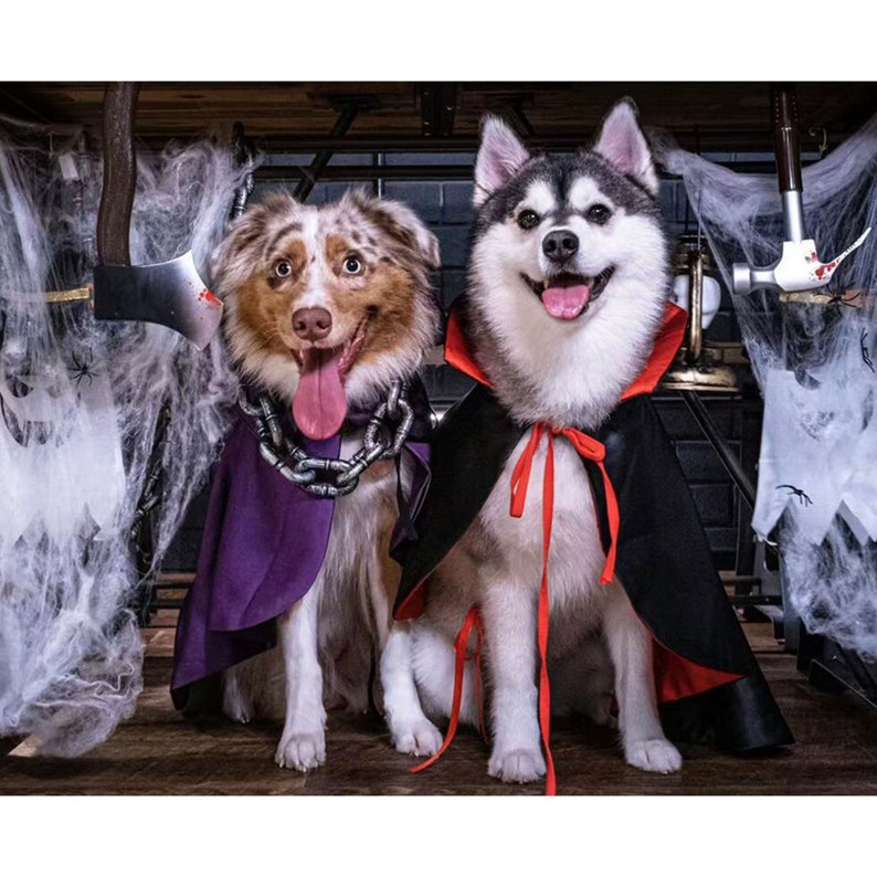 Cat Dog Vampire Costume Halloween, Dog Dracula Count Cloak, Pet Cosplay Outfit Twilight Inspired, Gothic Demon Cape Wizard Uniform Custom image 9