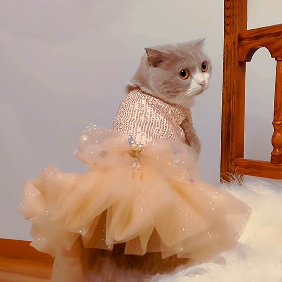 cat wedding dress