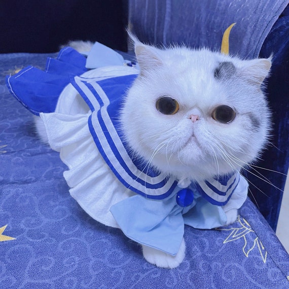 cat sailor moon costume